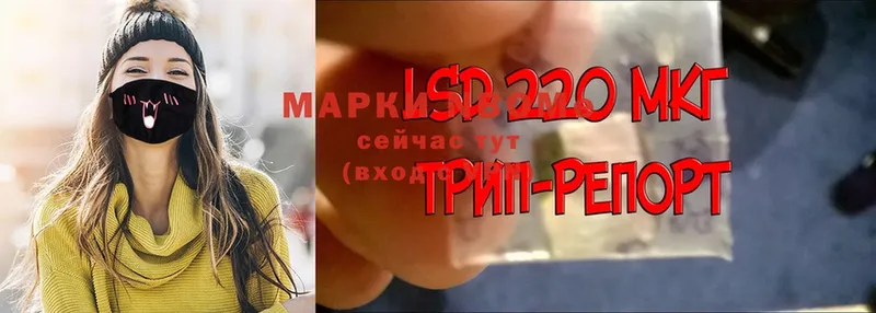 Марки NBOMe 1500мкг  Ардатов 